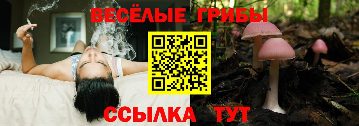 Псилоцибиновые грибы Psilocybine cubensis  Галлюциногенные грибы Magic Shrooms  купить наркотики сайты  Вход с VPN  Дивногорск 